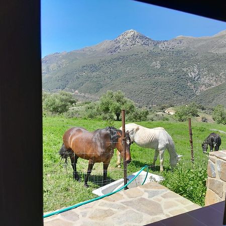 El Higueron Villa Jimera de Libar Bagian luar foto