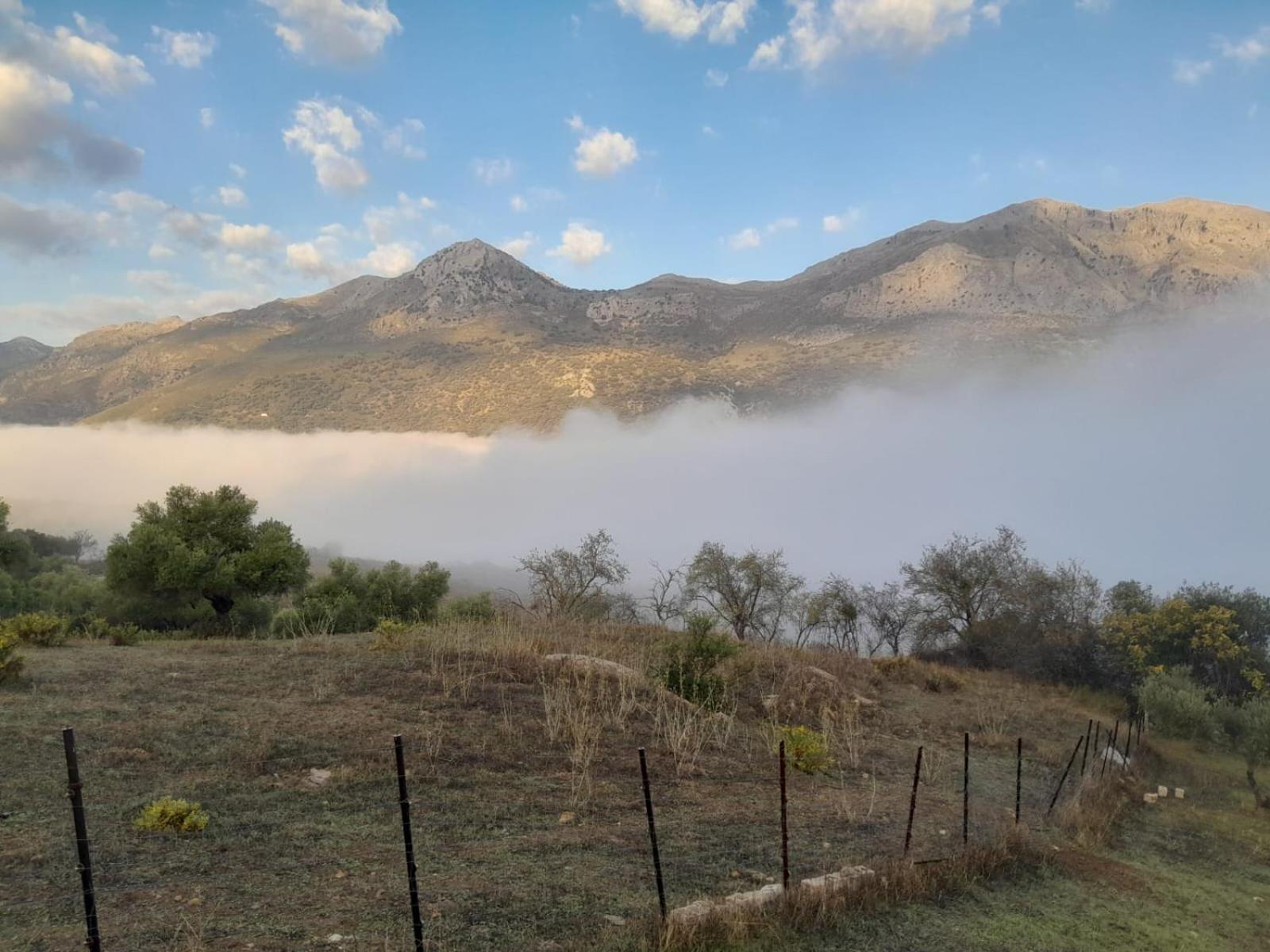 El Higueron Villa Jimera de Libar Bagian luar foto
